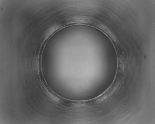 X0000051240890200506171107