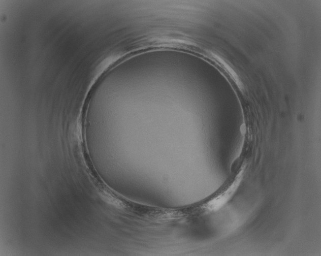 X0000051240891200506171107