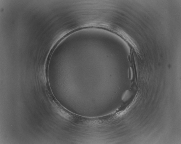 X0000051240892200506171107