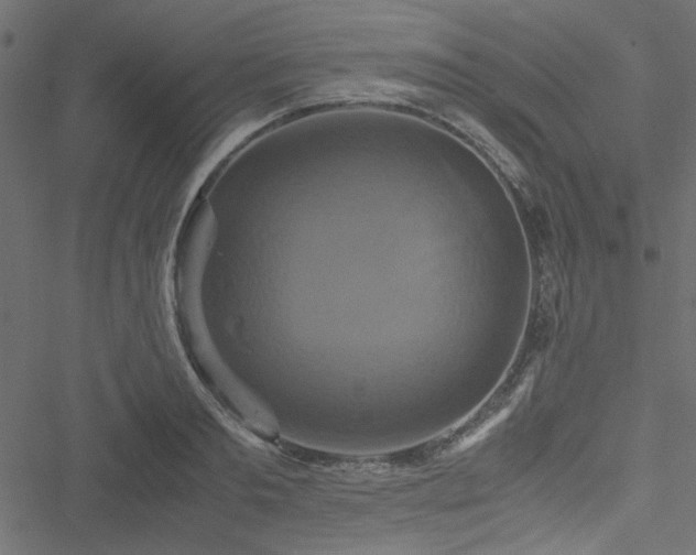 X0000051240893200506171107