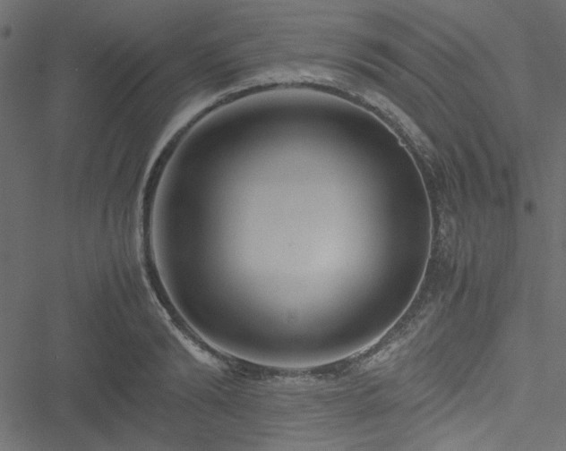 X0000051240894200506171107