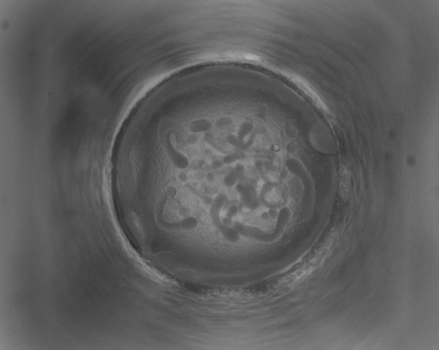 X0000051240895200506171107