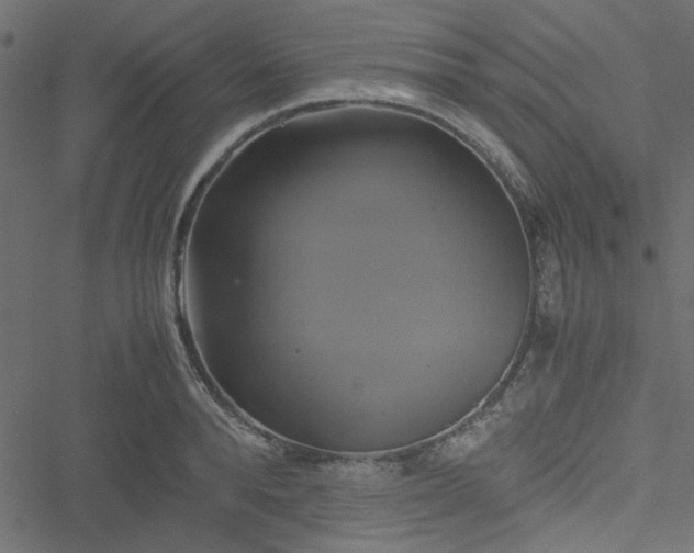 X0000051240896200506171107