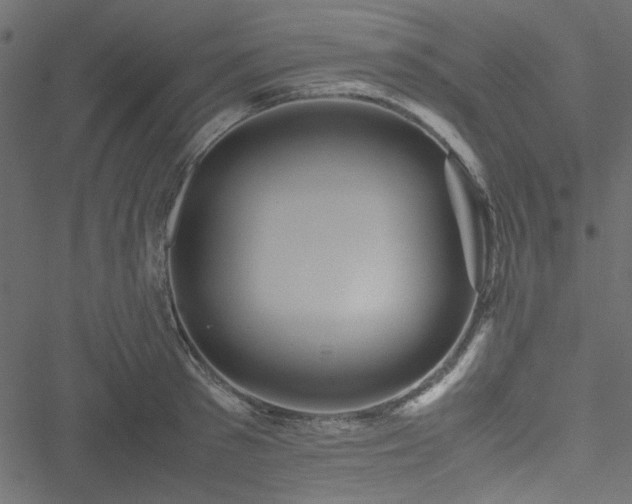 X0000051240897200506171107