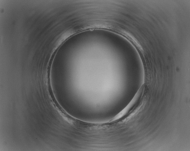 X0000051240898200506171107