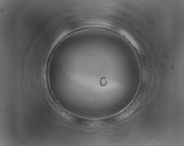 X0000051240899200506171107