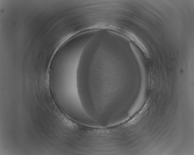 X0000051240900200506171107