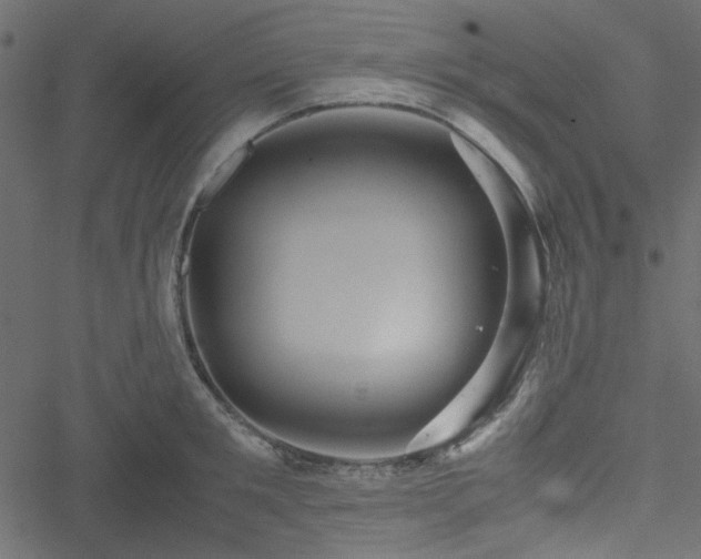 X0000051240901200506171107