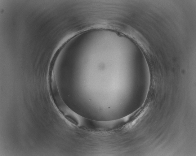 X0000051240902200506171107