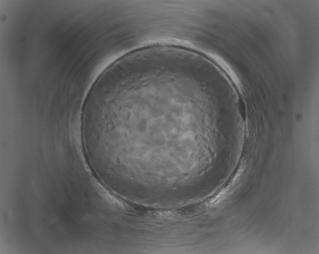 X0000051240903200506171107