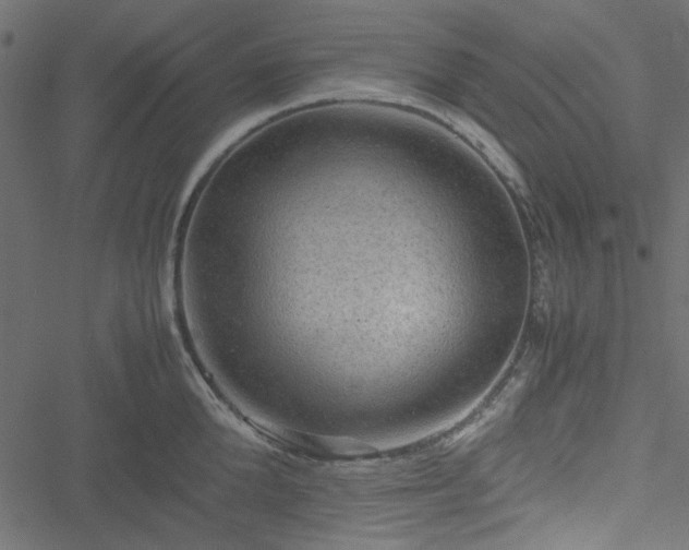 X0000051240904200506171107