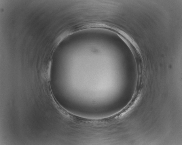 X0000051240905200506171107