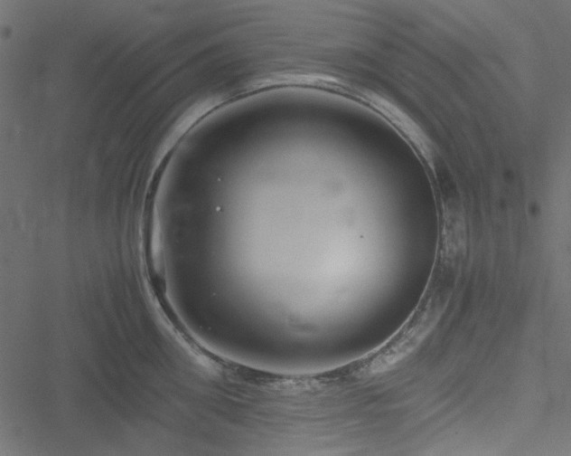 X0000051240906200506171107