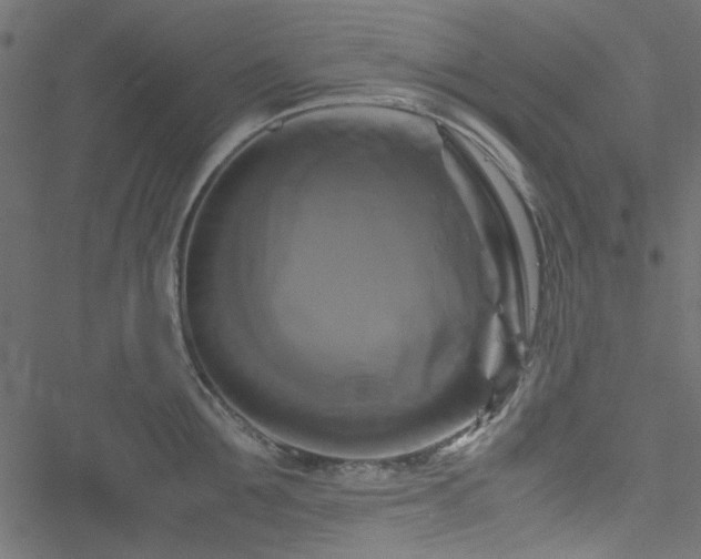 X0000051240907200506171107