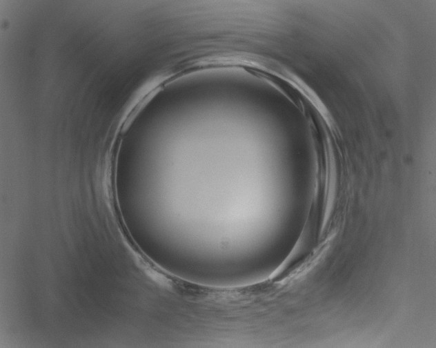 X0000051240909200506171107