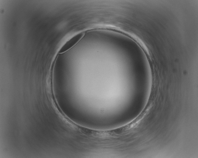 X0000051240911200506171107