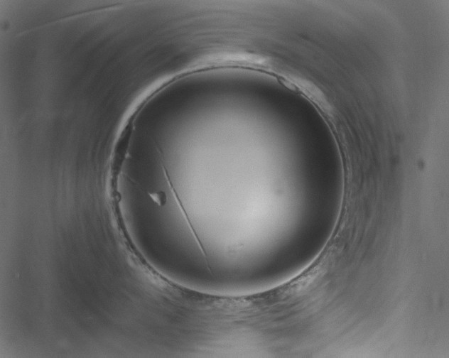 X0000051240912200506171107