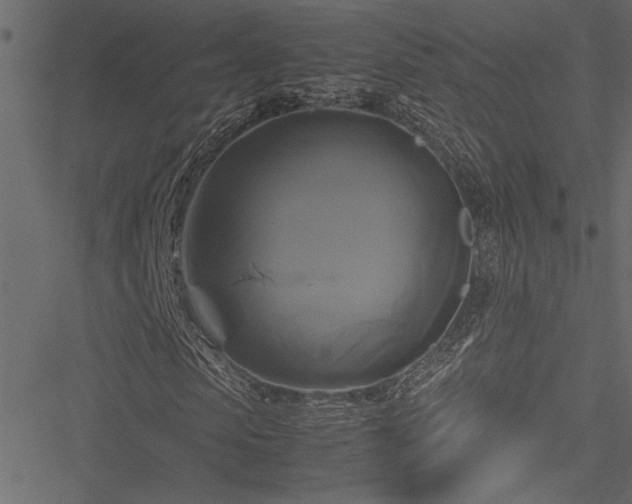 X0000051240913200506171106