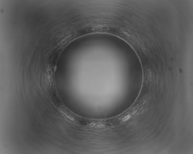 X0000051240914200506171106