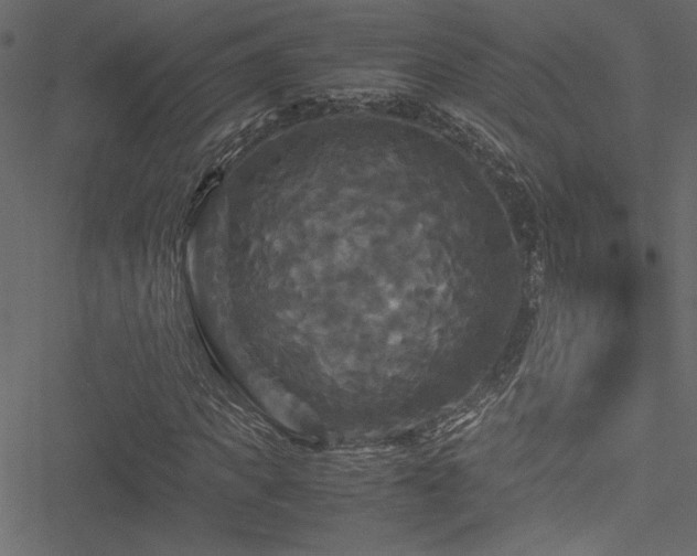 X0000051240917200506171106