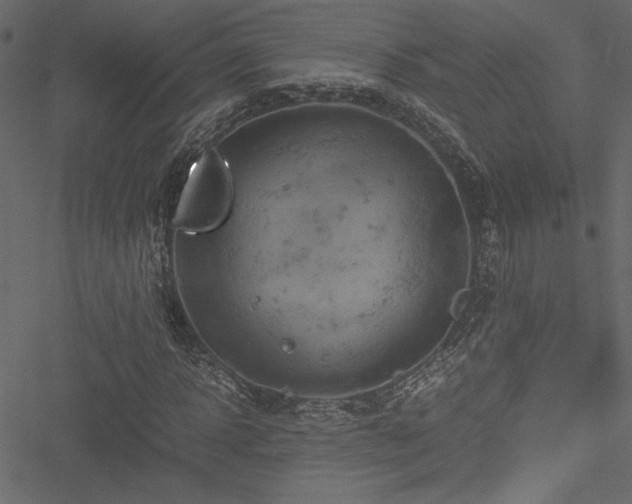 X0000051240918200506171106