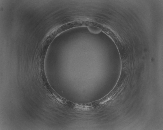 X0000051240919200506171106