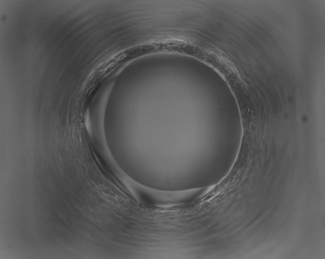 X0000051240920200506171106