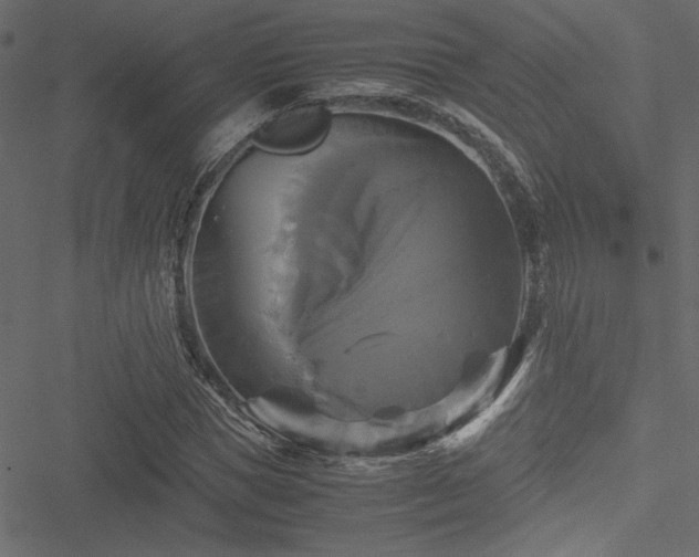 X0000051240921200506171106