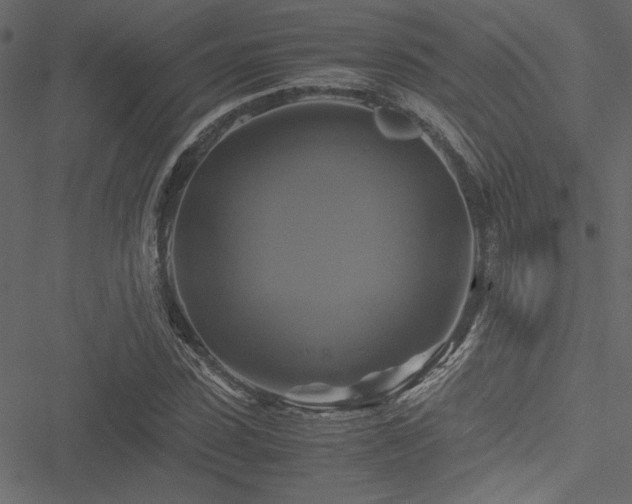 X0000051240923200506171106