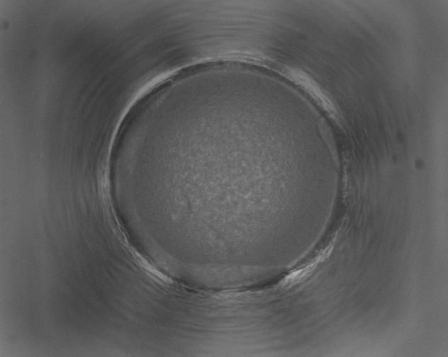 X0000051240924200506171106