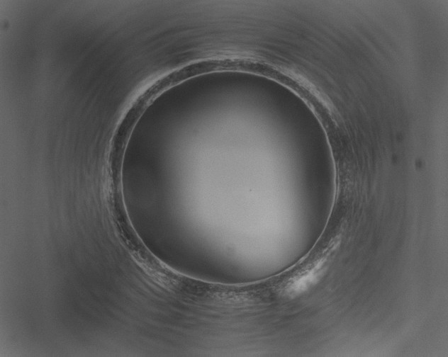 X0000051240927200506171106