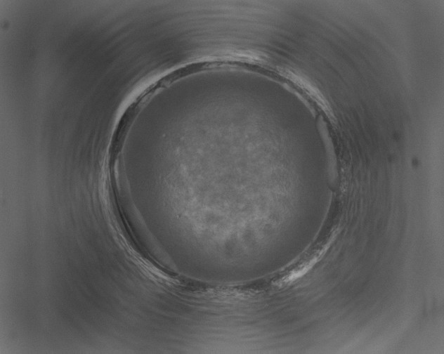 X0000051240928200506171106