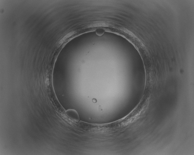 X0000051240929200506171106