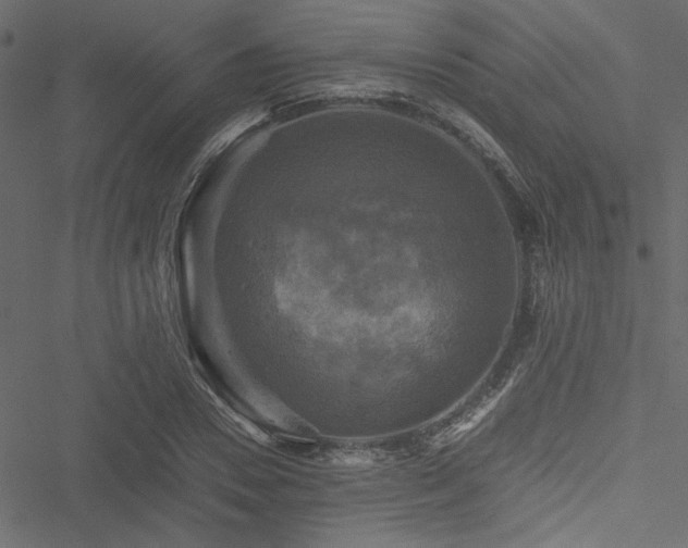 X0000051240930200506171106