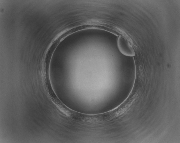 X0000051240931200506171106