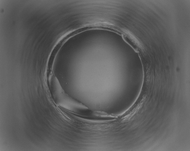 X0000051240932200506171106