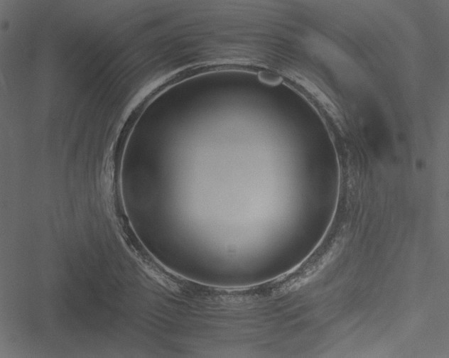 X0000051240933200506171106