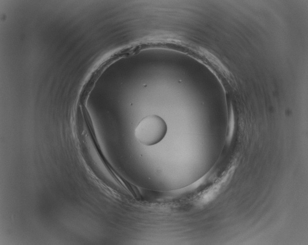 X0000051240934200506171106