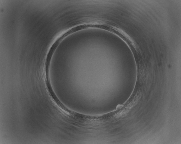 X0000051240935200506171106