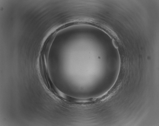 X0000051240936200506171106