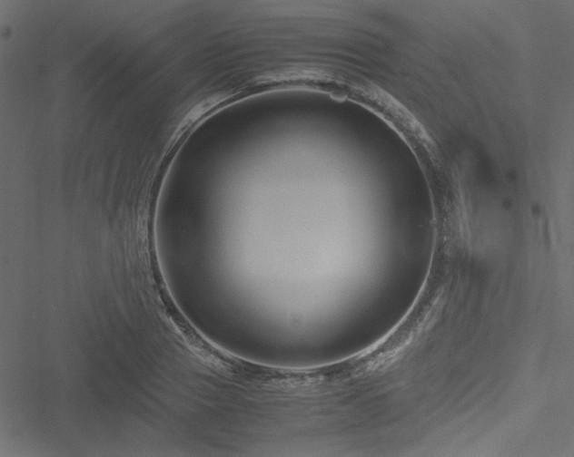 X0000051240937200506171106