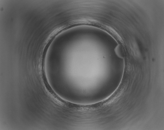 X0000051240938200506171106