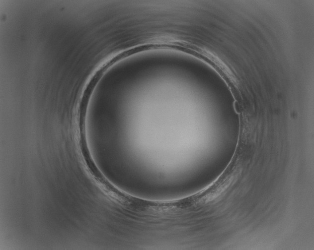 X0000051240939200506171106