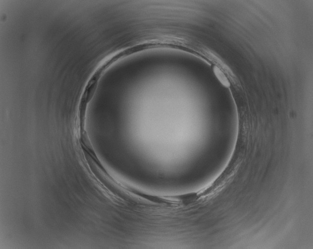 X0000051240940200506171107