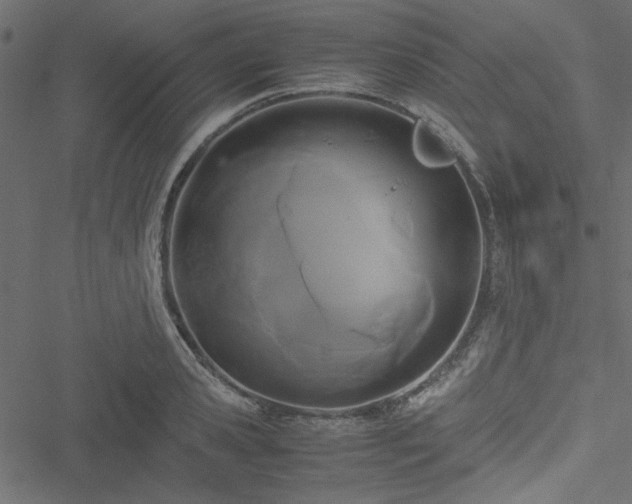 X0000051240941200506171107