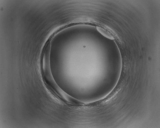 X0000051240942200506171107