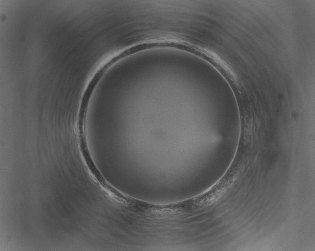 X0000051240943200506171107