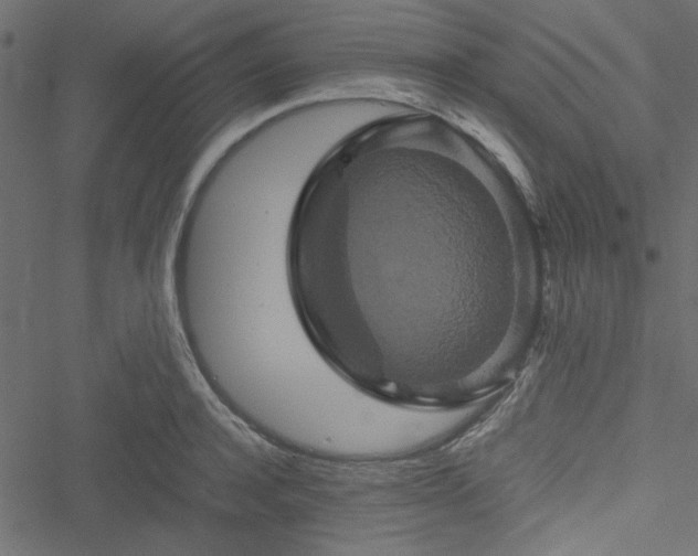 X0000051240944200506171107