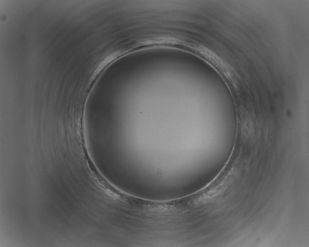 X0000051240945200506171107