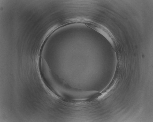 X0000051240946200506171107